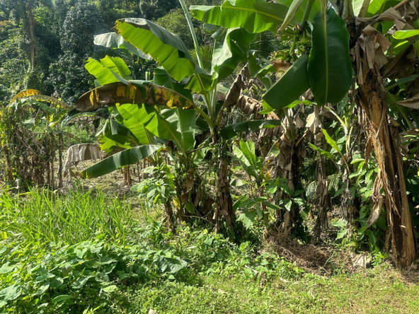 Twelfth image of 82 Golden Spring in GOLDEN SPRING, St. Andrew, Jamaica - property is For Sale