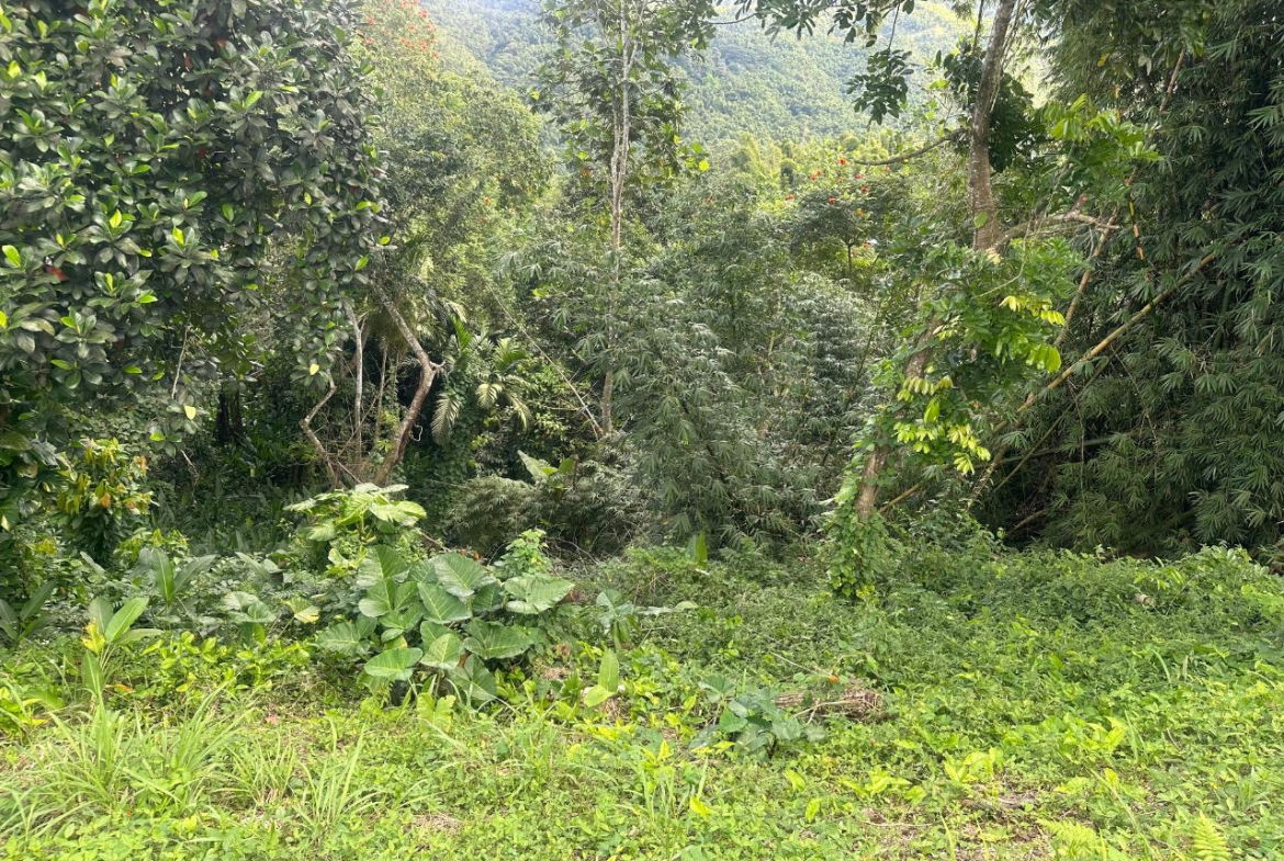 First image of 82 Golden Spring in GOLDEN SPRING, St. Andrew, Jamaica - property is For Sale