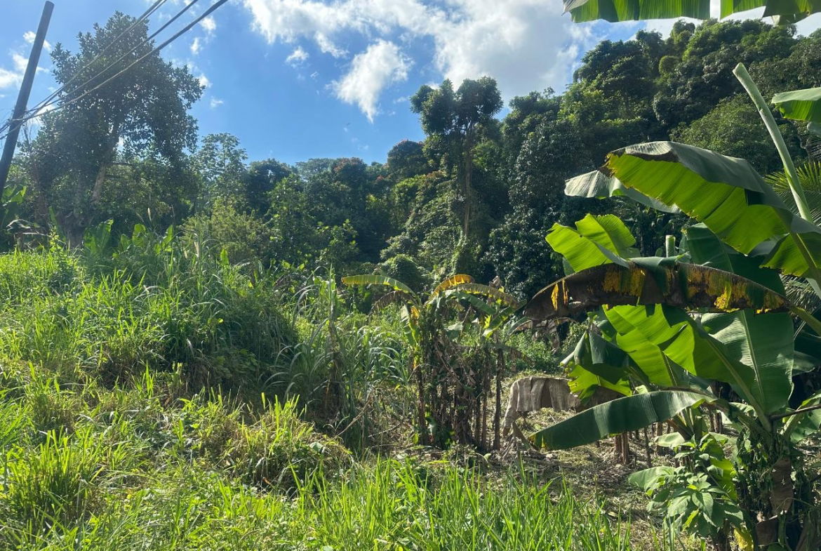 Thirteenth image of 82 Golden Spring in GOLDEN SPRING, St. Andrew, Jamaica - property is For Sale