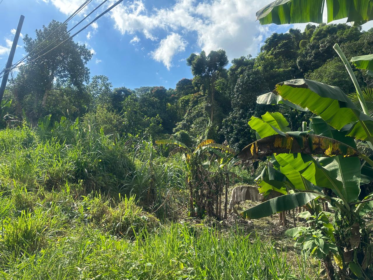 2.6-Acres-of-Prime-Residential-Development-Land-for-Sale-in-St.-Andrew-Jamaica Thirteenth image of 82 Golden Spring in GOLDEN SPRING, St. Andrew, Jamaica - property is For Sale