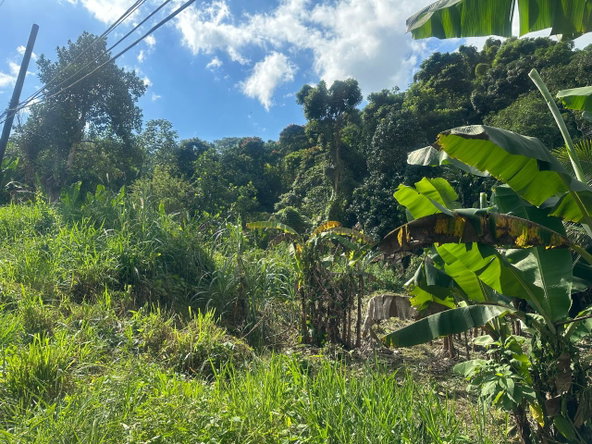 Thirteenth image of 82 Golden Spring in GOLDEN SPRING, St. Andrew, Jamaica - property is For Sale