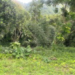 First image of 82 Golden Spring in GOLDEN SPRING, St. Andrew, Jamaica - property is For Sale