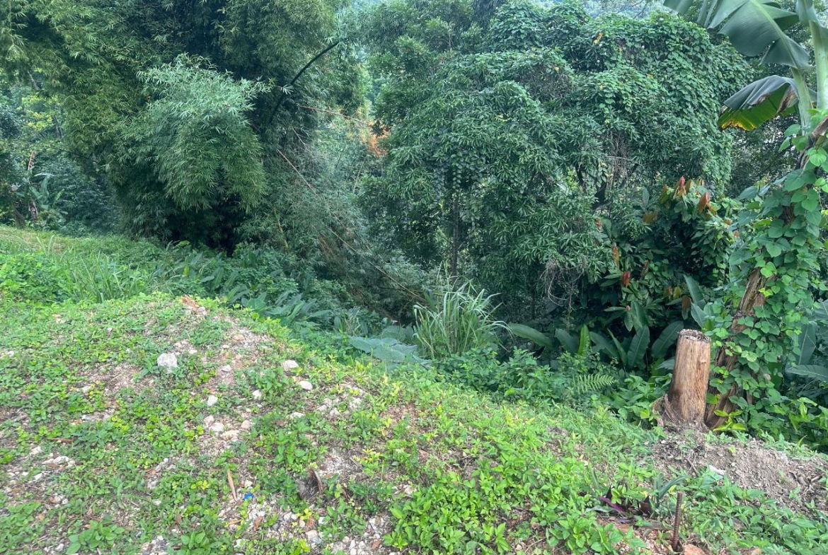 Third image of 82 Golden Spring in GOLDEN SPRING, St. Andrew, Jamaica - property is For Sale