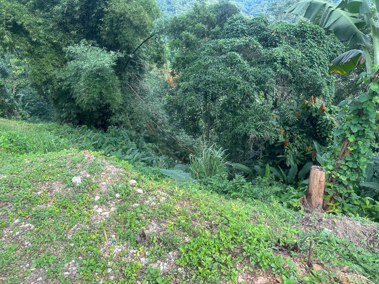 2.6-Acres-of-Prime-Residential-Development-Land-for-Sale-in-St.-Andrew-Jamaica Third image of 82 Golden Spring in GOLDEN SPRING, St. Andrew, Jamaica - property is For Sale
