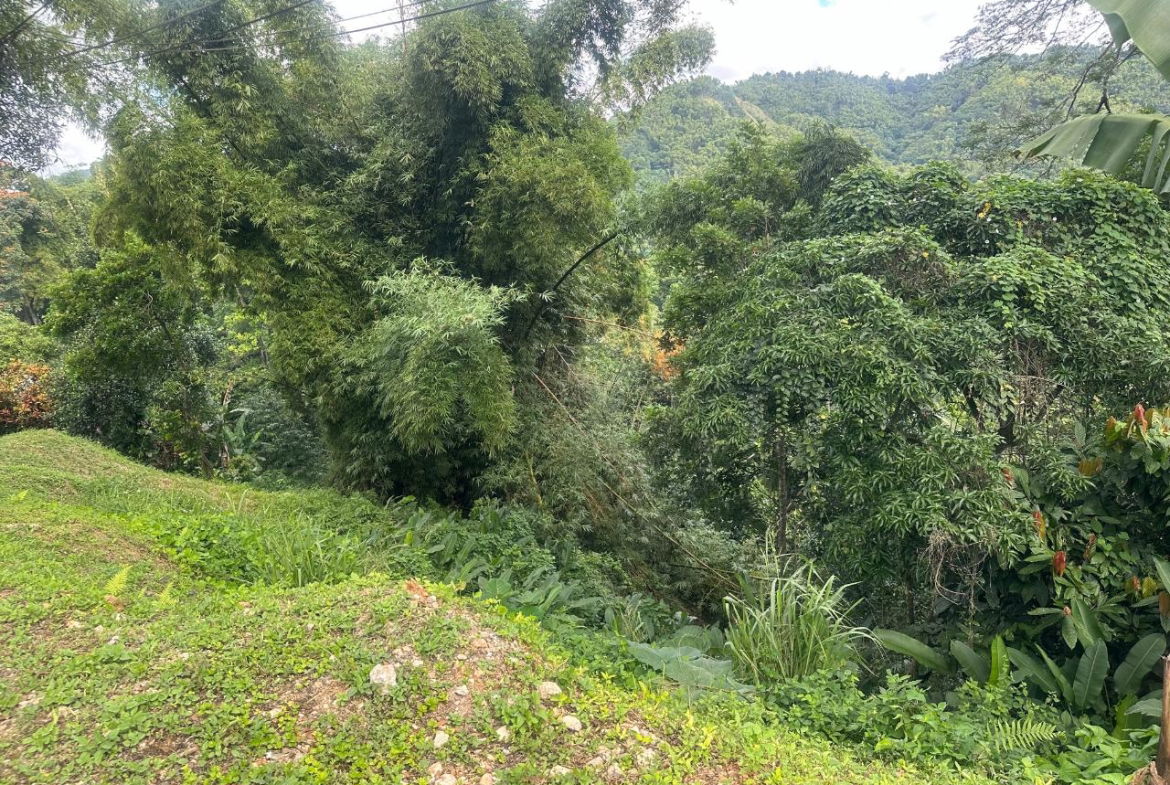 Fourth image of 82 Golden Spring in GOLDEN SPRING, St. Andrew, Jamaica - property is For Sale