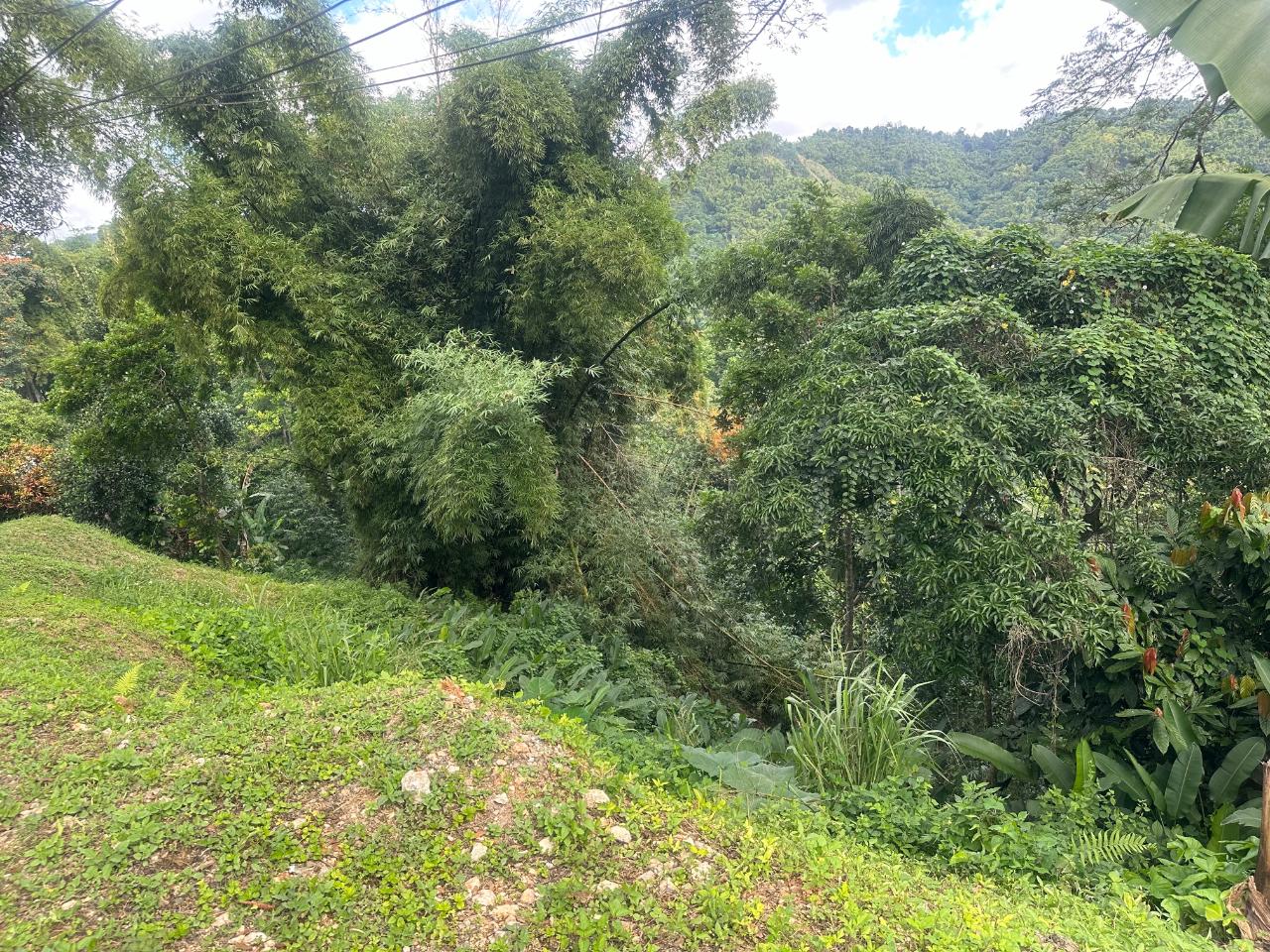 2.6-Acres-of-Prime-Residential-Development-Land-for-Sale-in-St.-Andrew-Jamaica Fourth image of 82 Golden Spring in GOLDEN SPRING, St. Andrew, Jamaica - property is For Sale