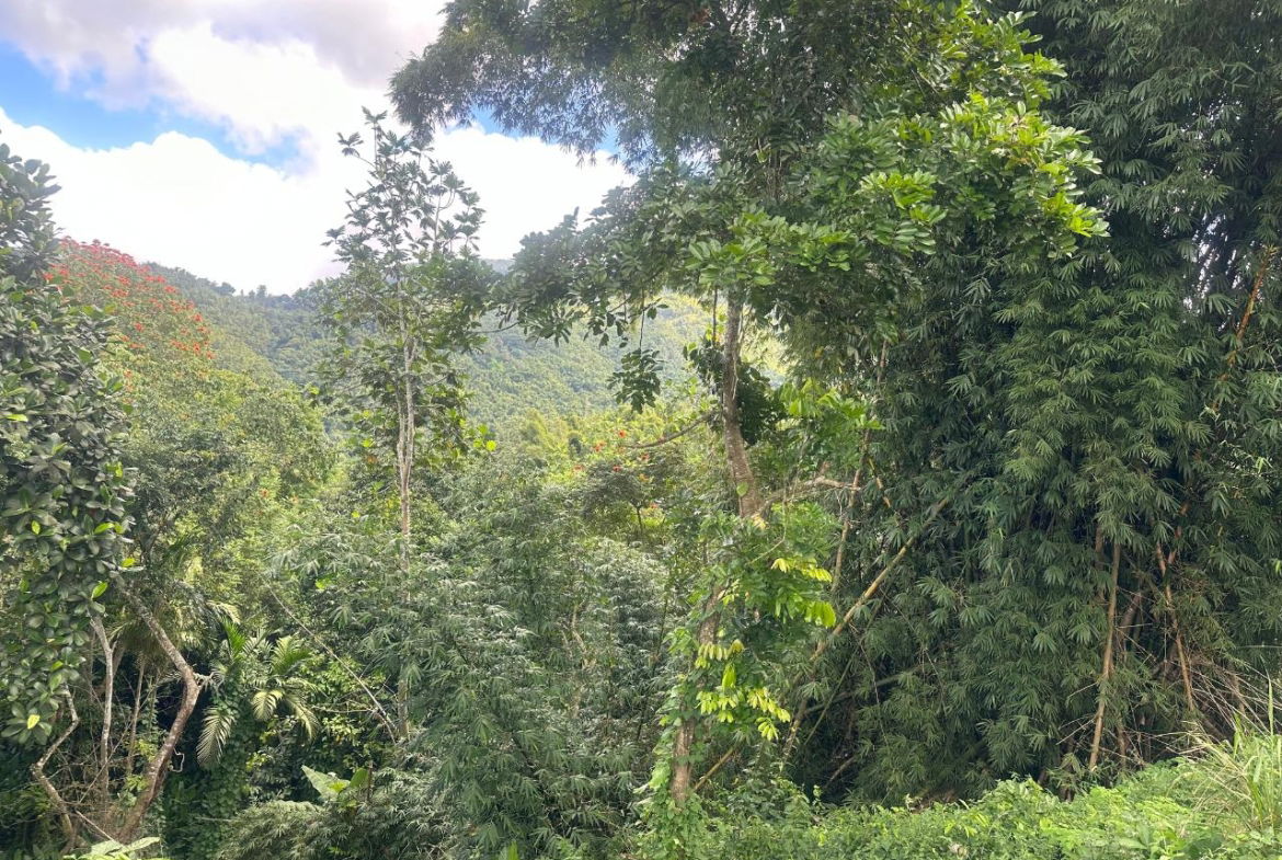 Fifth image of 82 Golden Spring in GOLDEN SPRING, St. Andrew, Jamaica - property is For Sale