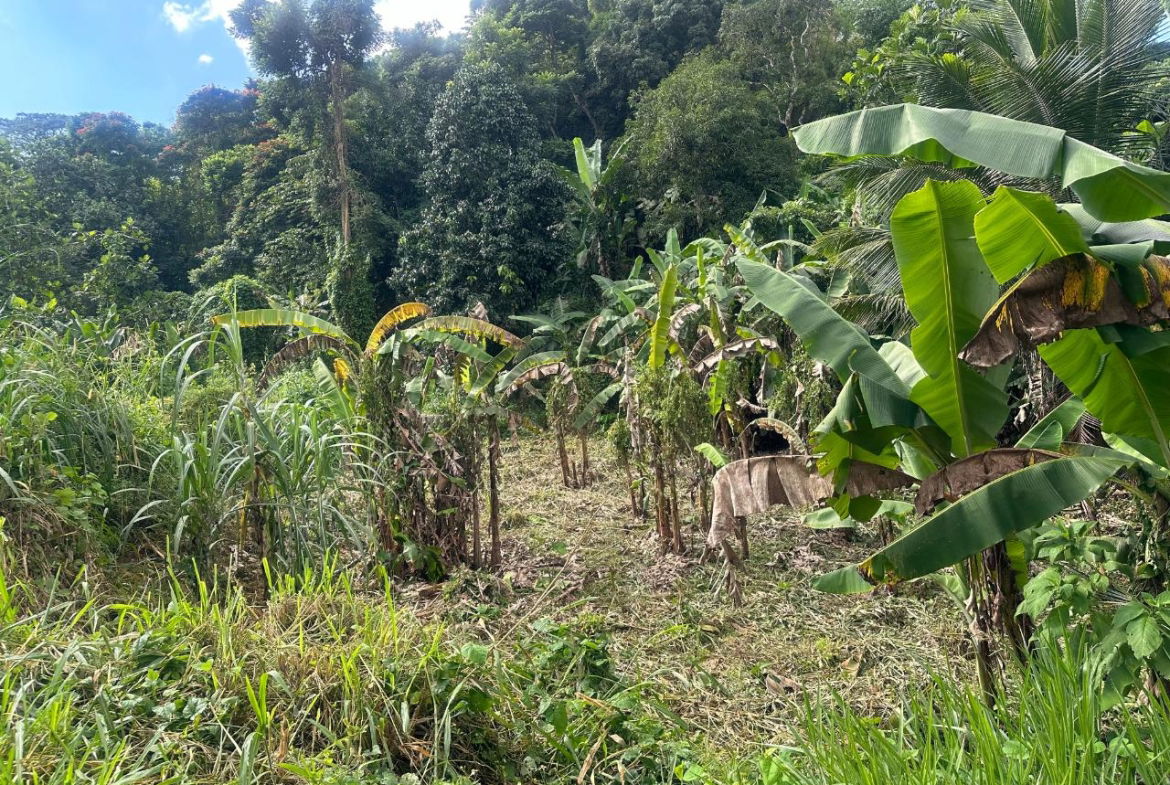 Sixth image of 82 Golden Spring in GOLDEN SPRING, St. Andrew, Jamaica - property is For Sale