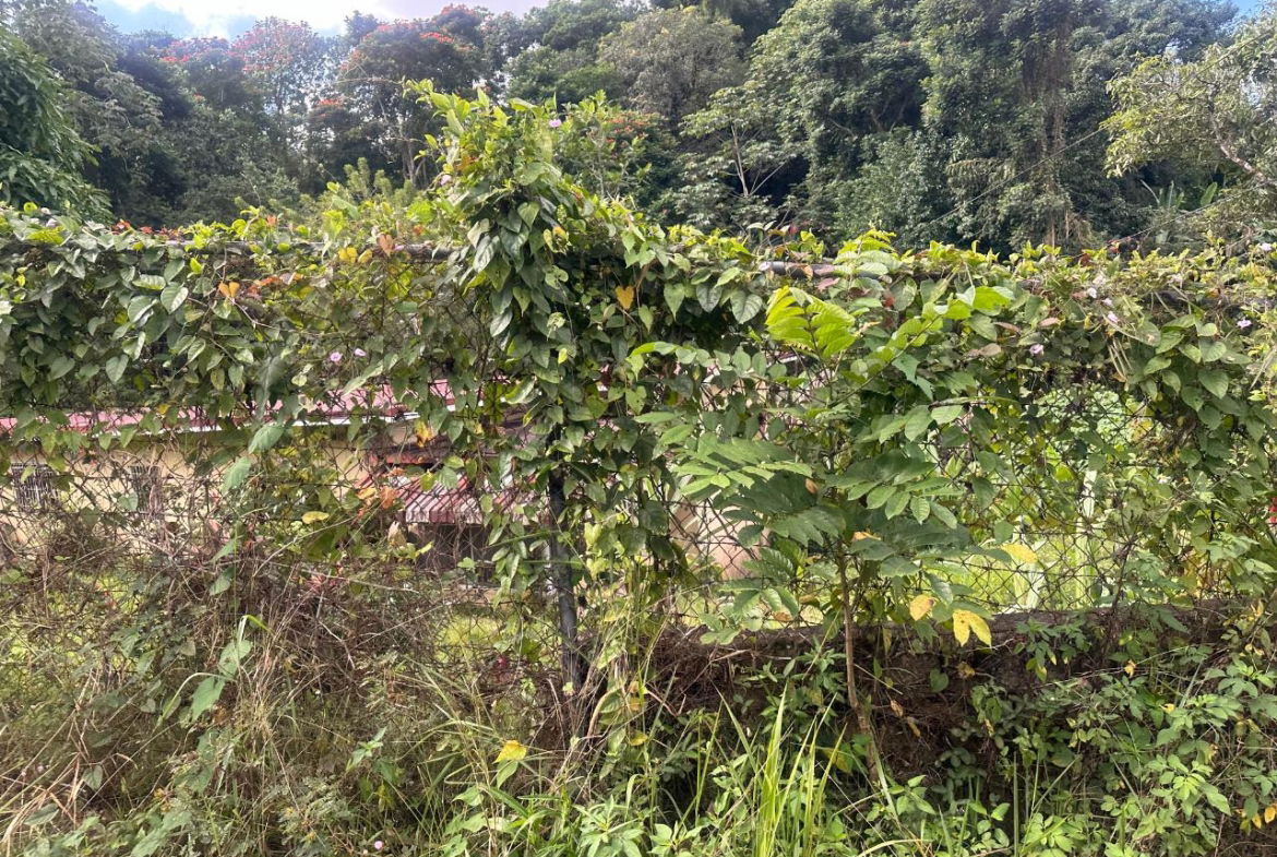 Seventh image of 82 Golden Spring in GOLDEN SPRING, St. Andrew, Jamaica - property is For Sale