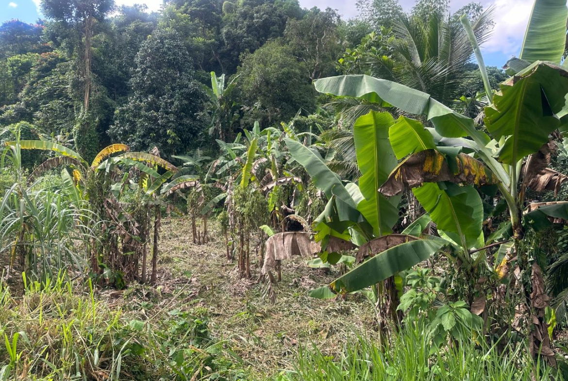 Eighth image of 82 Golden Spring in GOLDEN SPRING, St. Andrew, Jamaica - property is For Sale