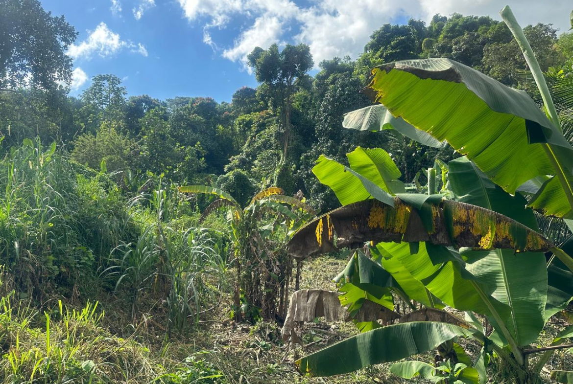 Ninth image of 82 Golden Spring in GOLDEN SPRING, St. Andrew, Jamaica - property is For Sale