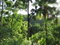 First image of Lot # 26 Boundbrook Road in Boundbrook, Portland, Jamaica - property is For Sale