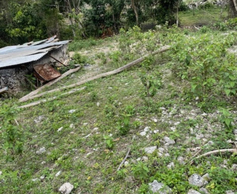 Third image of 162 Rural Retreat in Claremont, St. Ann, Jamaica - property is For Sale