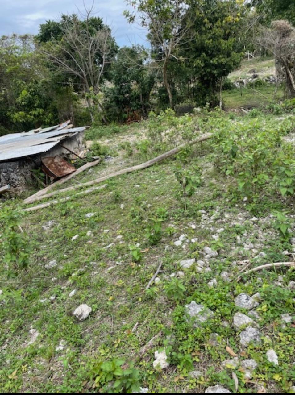 Third image of 162 Rural Retreat in Claremont, St. Ann, Jamaica - property is For Sale