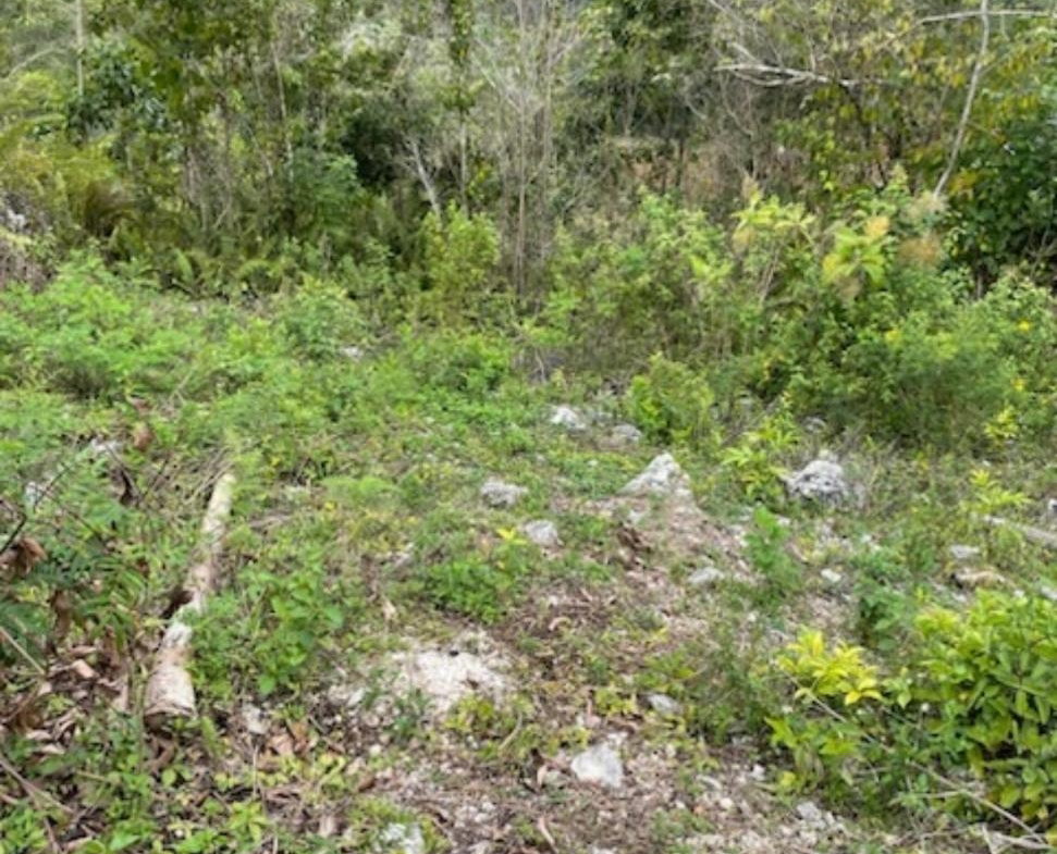 Fourth image of 162 Rural Retreat in Claremont, St. Ann, Jamaica - property is For Sale