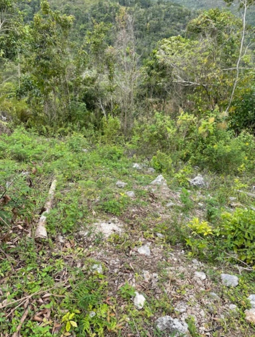 Fourth image of 162 Rural Retreat in Claremont, St. Ann, Jamaica - property is For Sale