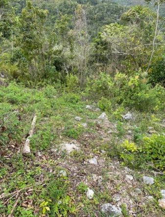 Fourth image of 162 Rural Retreat in Claremont, St. Ann, Jamaica - property is For Sale