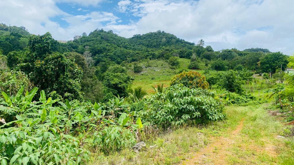 Second image of Lot 9 Lincoln Enfield in Browns Town, St. Ann, Jamaica - property is For Sale