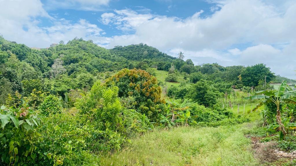 Third image of Lot 9 Lincoln Enfield in Browns Town, St. Ann, Jamaica - property is For Sale