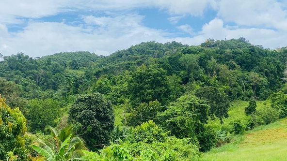 Fourth image of Lot 9 Lincoln Enfield in Browns Town, St. Ann, Jamaica - property is For Sale