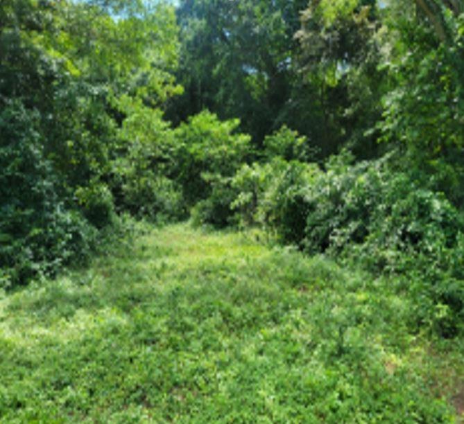 Second image of Fustic Grove, Anchovy in Anchovy, St. James, Jamaica - property is For Sale