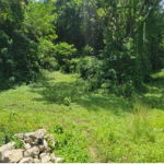 First image of Fustic Grove, Anchovy in Anchovy, St. James, Jamaica - property is For Sale