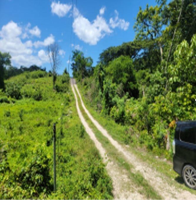 Third image of Fustic Grove, Anchovy in Anchovy, St. James, Jamaica - property is For Sale