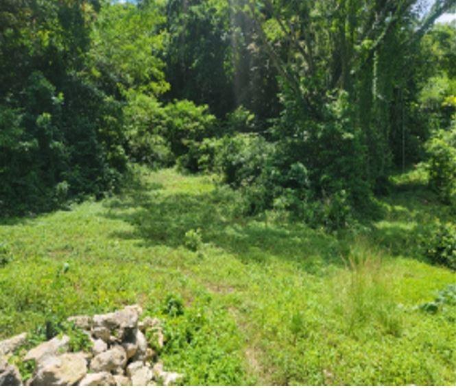 First image of Fustic Grove, Anchovy in Anchovy, St. James, Jamaica - property is For Sale