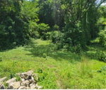 First image of Fustic Grove, Anchovy in Anchovy, St. James, Jamaica - property is For Sale