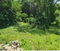 First image of Fustic Grove, Anchovy in Anchovy, St. James, Jamaica - property is For Sale