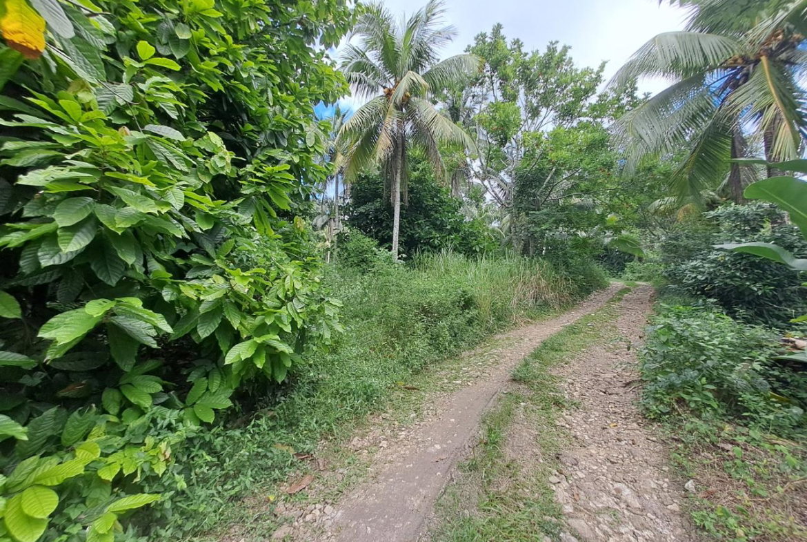 Second image of 5 Fontabelle, Free Hill in Fontabelle, St. Mary, Jamaica - property is For Sale