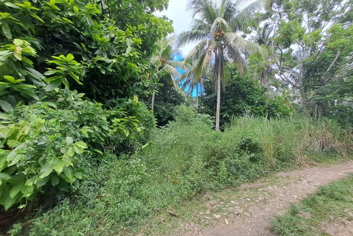 First image of 5 Fontabelle, Free Hill in Fontabelle, St. Mary, Jamaica - property is For Sale
