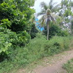 First image of 5 Fontabelle, Free Hill in Fontabelle, St. Mary, Jamaica - property is For Sale