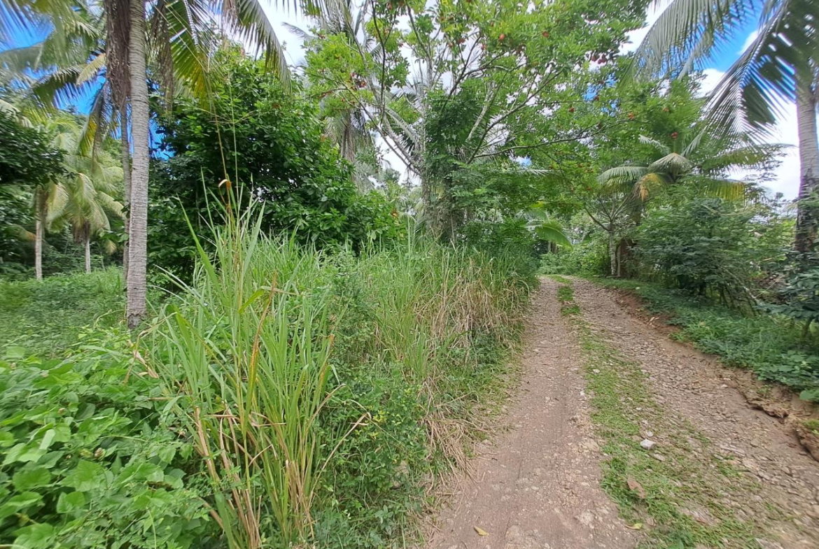 Fourth image of 5 Fontabelle, Free Hill in Fontabelle, St. Mary, Jamaica - property is For Sale