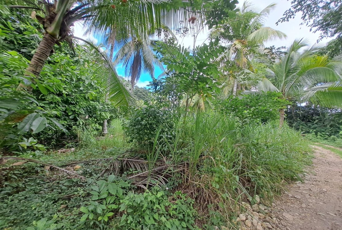 Fifth image of 5 Fontabelle, Free Hill in Fontabelle, St. Mary, Jamaica - property is For Sale