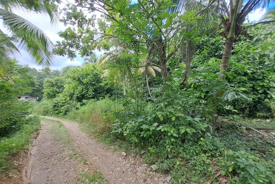 Eighth image of 5 Fontabelle, Free Hill in Fontabelle, St. Mary, Jamaica - property is For Sale