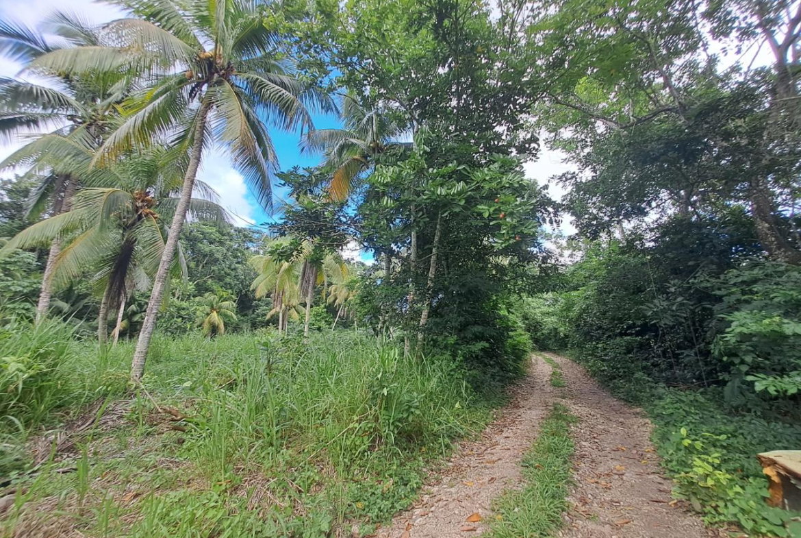Tenth image of 5 Fontabelle, Free Hill in Fontabelle, St. Mary, Jamaica - property is For Sale