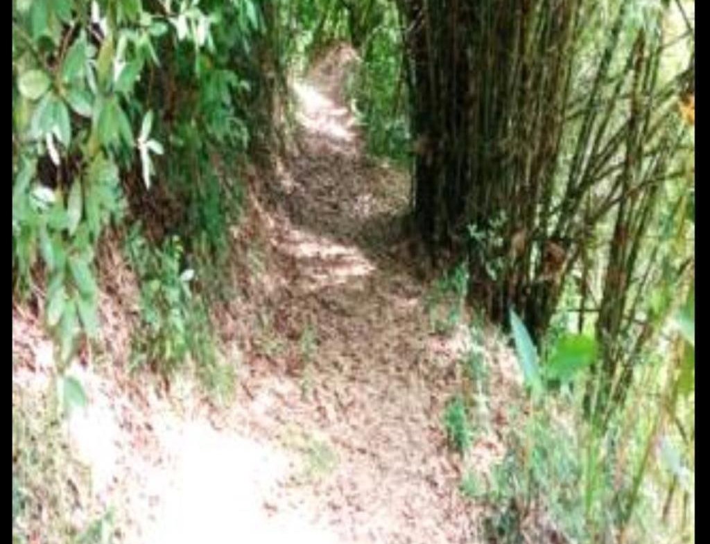 Second image of Providence, Donnington ca in Donnington Castle, St. Mary, Jamaica - property is For Sale