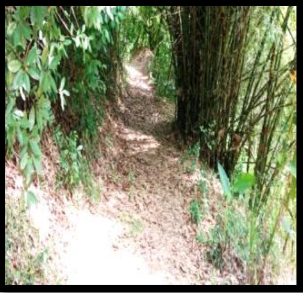 Second image of Providence, Donnington ca in Donnington Castle, St. Mary, Jamaica - property is For Sale