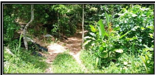 Third image of Providence, Donnington ca in Donnington Castle, St. Mary, Jamaica - property is For Sale