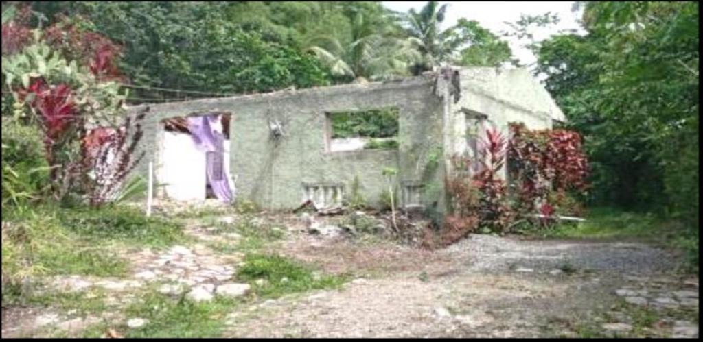 Fifth image of Providence, Donnington ca in Donnington Castle, St. Mary, Jamaica - property is For Sale