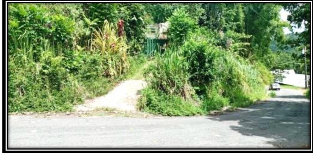 Sixth image of Providence, Donnington ca in Donnington Castle, St. Mary, Jamaica - property is For Sale