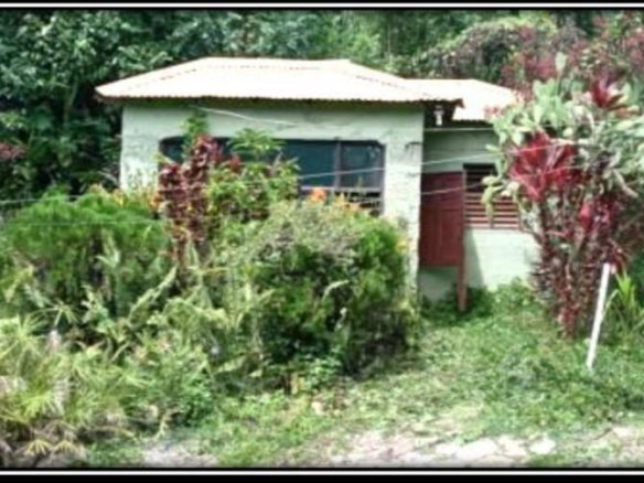 First image of Providence, Donnington ca in Donnington Castle, St. Mary, Jamaica - property is For Sale