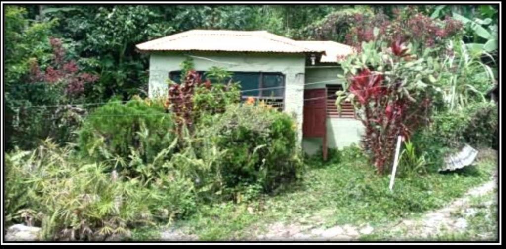 First image of Providence, Donnington ca in Donnington Castle, St. Mary, Jamaica - property is For Sale