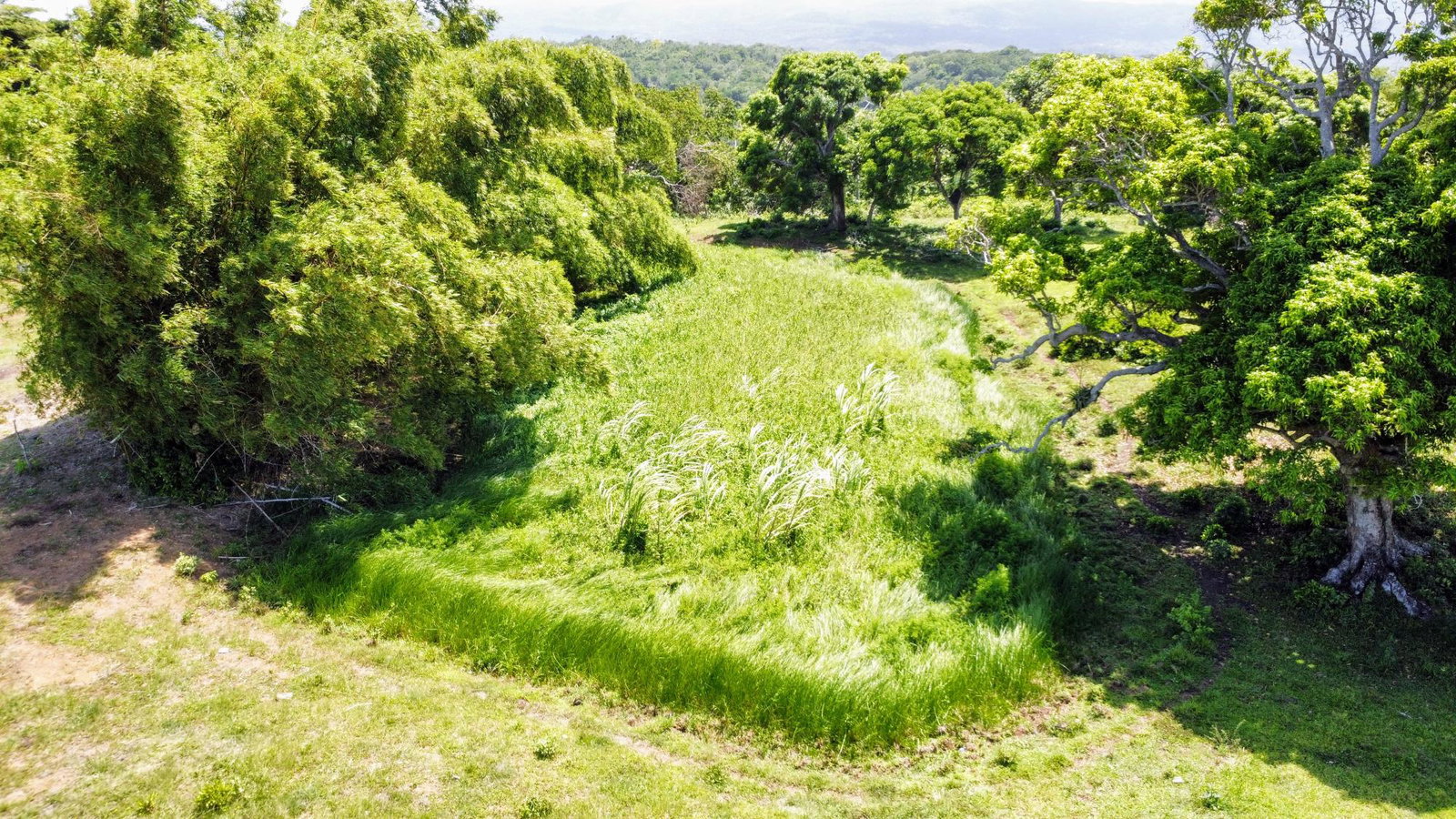 Second image of Heywood Hall in Heywood Hall, St. Mary, Jamaica - property is For Sale
