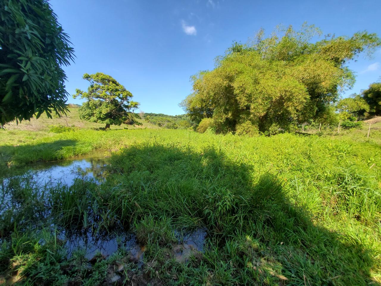Eleventh image of Heywood Hall in Heywood Hall, St. Mary, Jamaica - property is For Sale