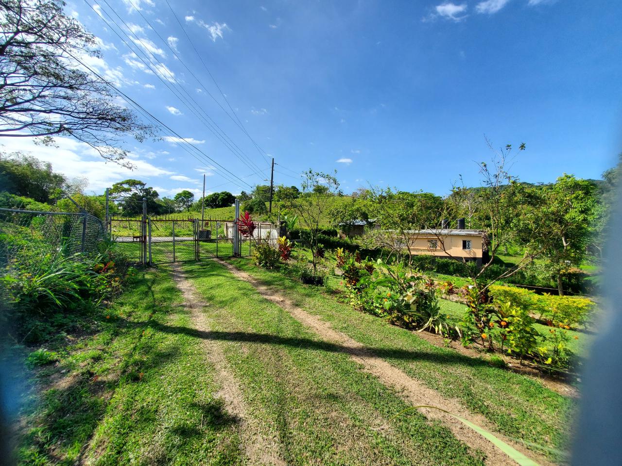Sixteenth image of Heywood Hall in Heywood Hall, St. Mary, Jamaica - property is For Sale