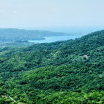 First image of Heywood Hall in Heywood Hall, St. Mary, Jamaica - property is For Sale