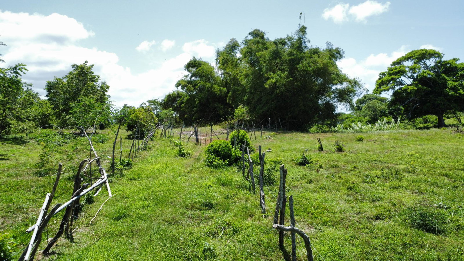 Seventeenth image of Heywood Hall in Heywood Hall, St. Mary, Jamaica - property is For Sale
