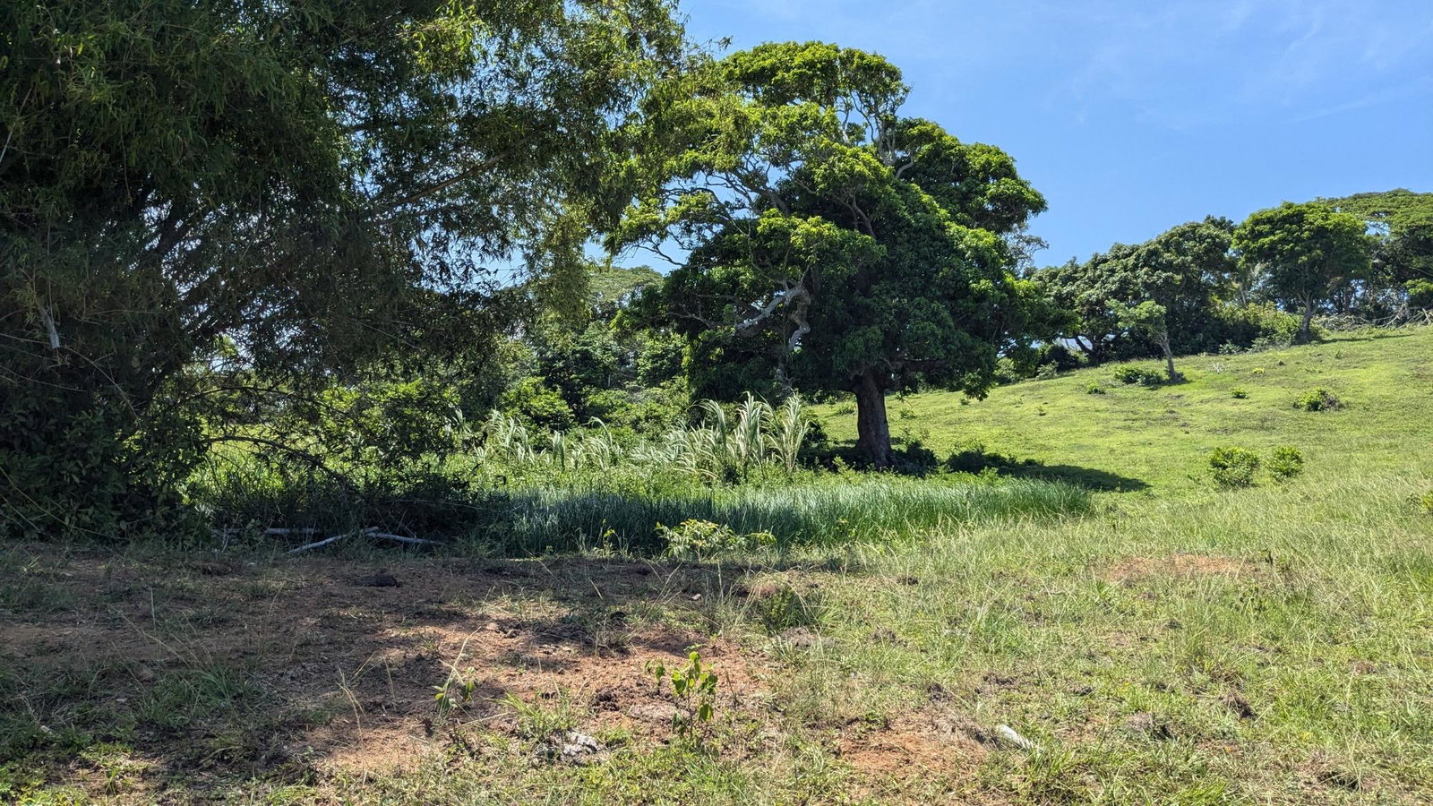 Eighteenth image of Heywood Hall in Heywood Hall, St. Mary, Jamaica - property is For Sale